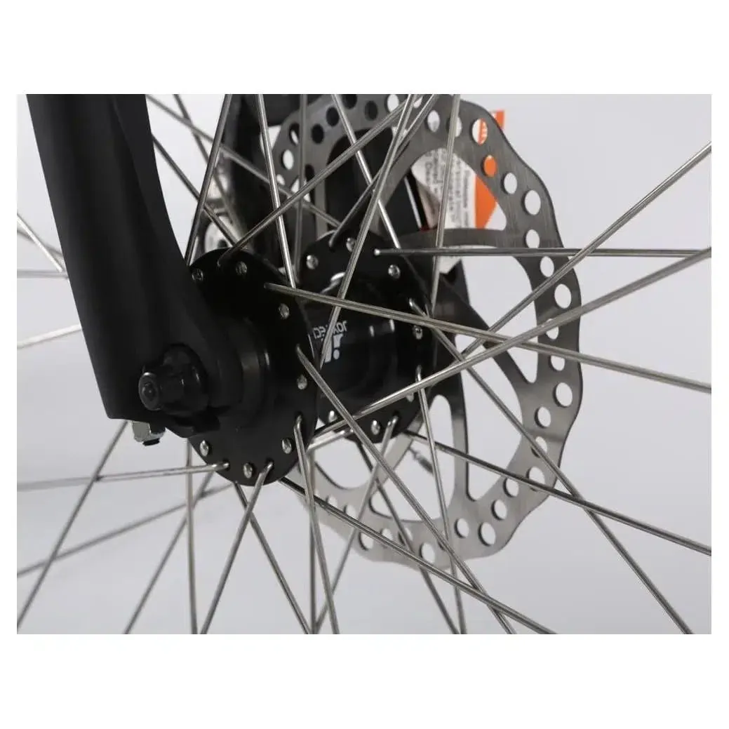 48-Volt Lithium-Powered Catalina Electric Bike: Step-Through Beach Cruiser Model